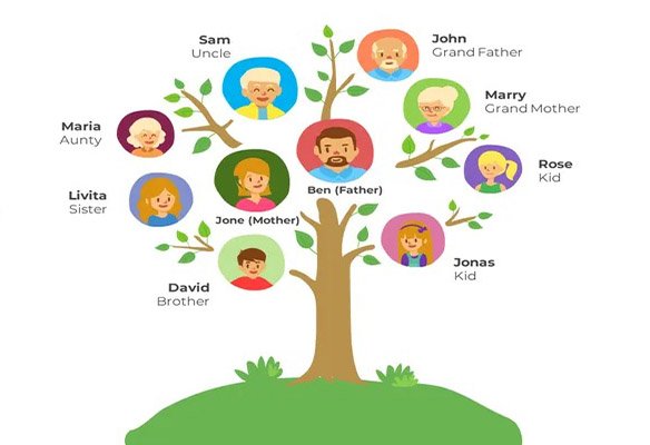 family tree